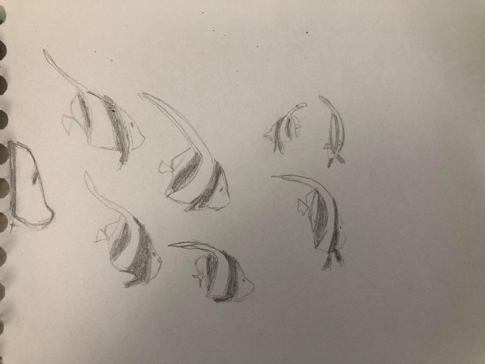 more-projects-from-class-img