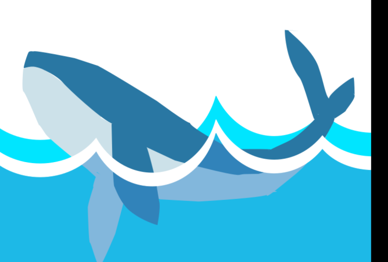 whale