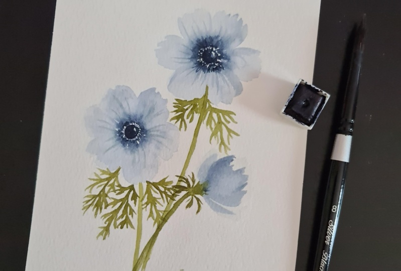 Anemones