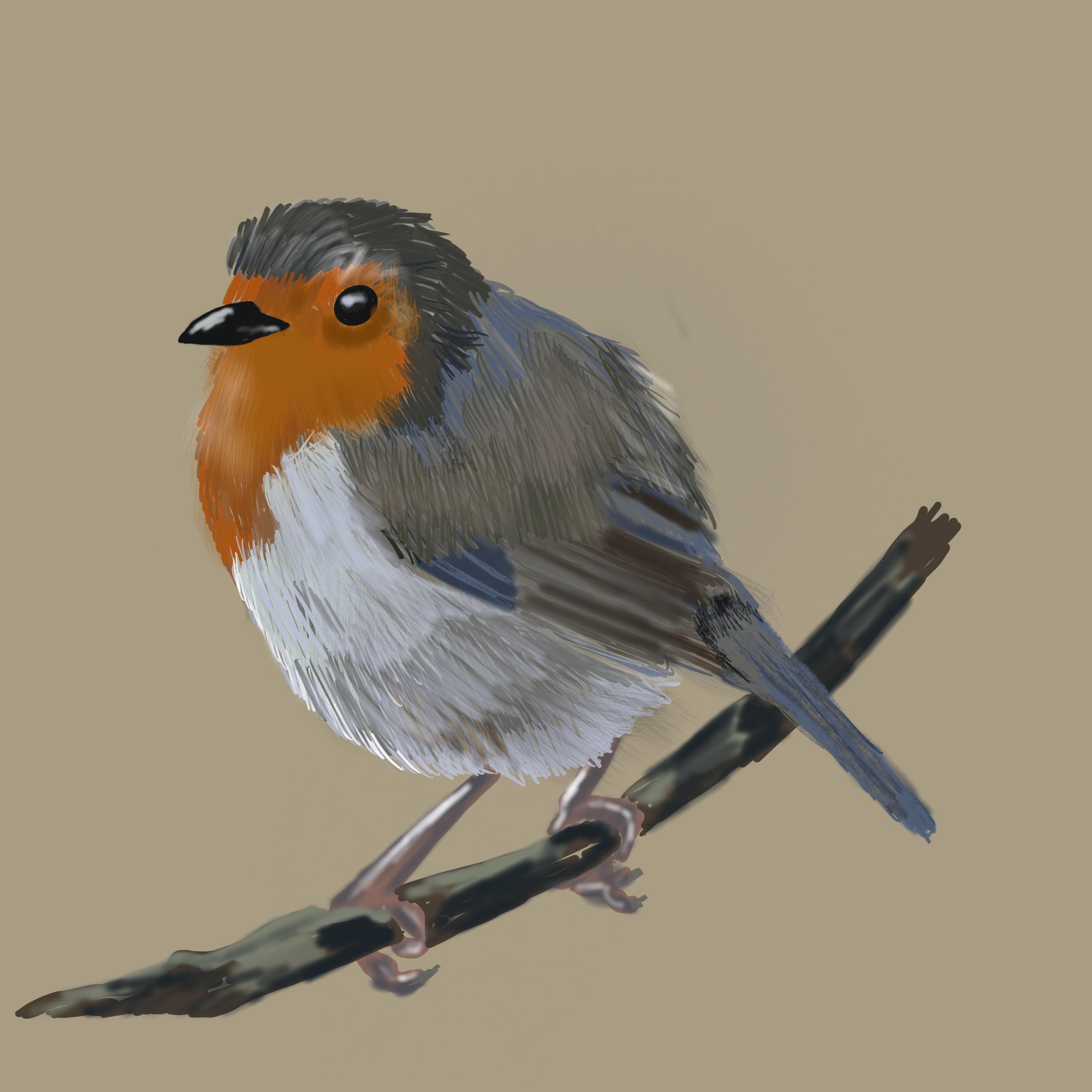 more-projects-from-class-img