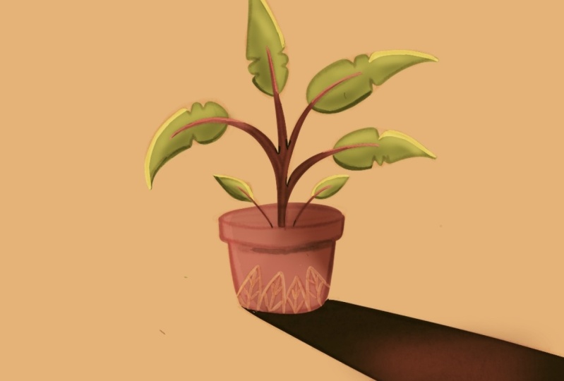 First time using Procreate, first Skillshare class!