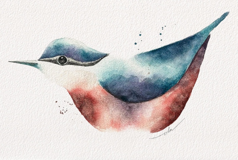 Learn To Paint A Simple Bird In Watercolor