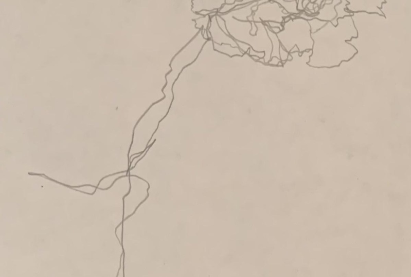 Blind Contour Carnation