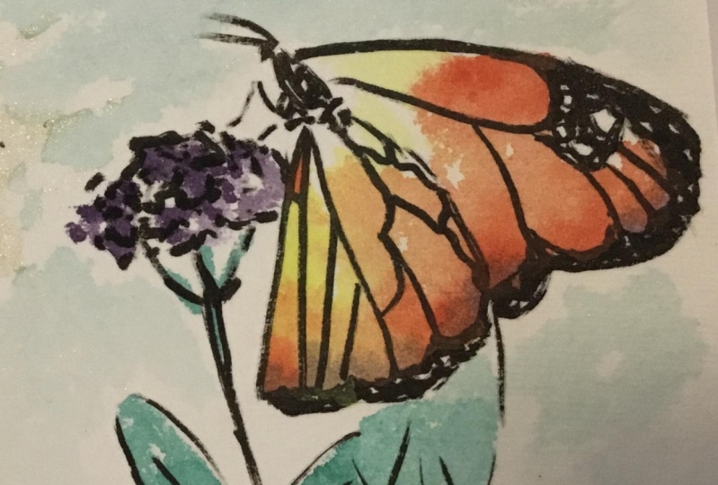 Ink & Watercolour Butterfly