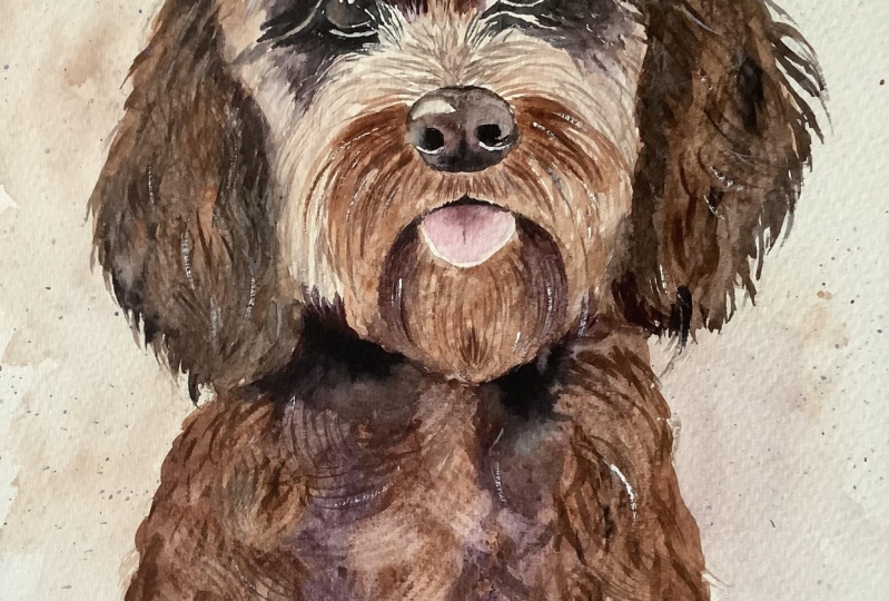 Cockapoo tutorial