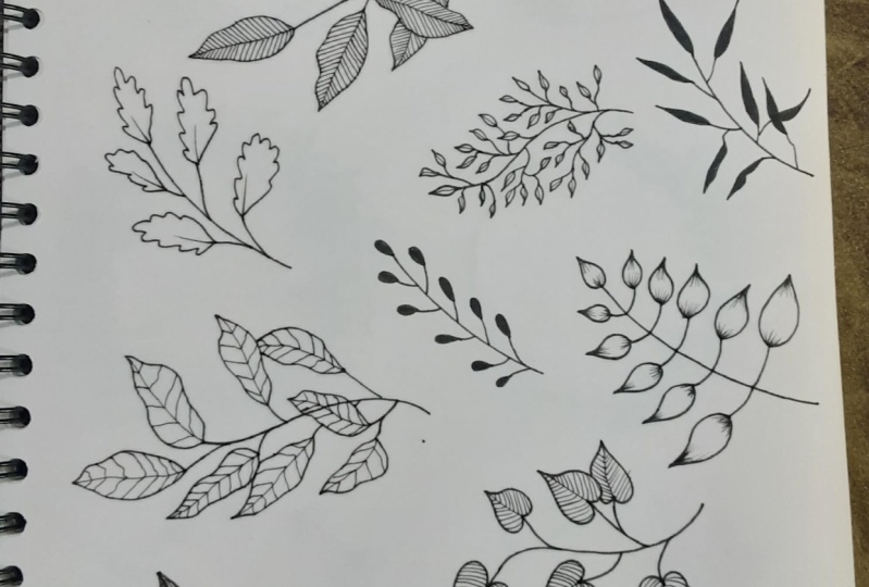 Leaves
