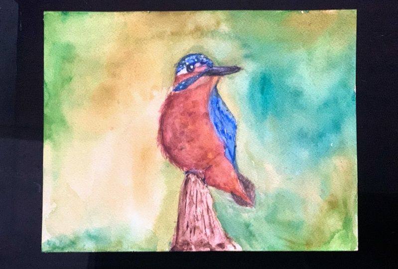 Kingfisher
