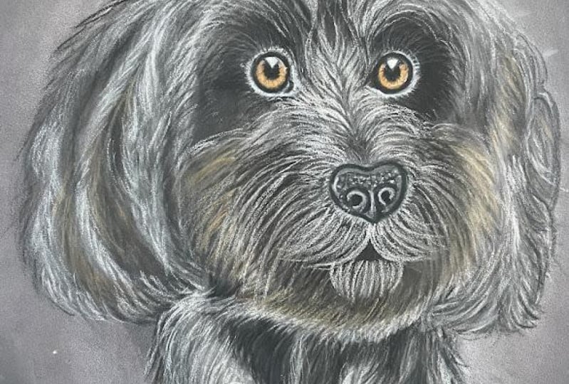 My second dog