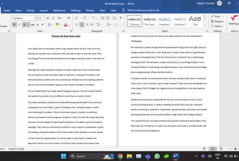 Essay
