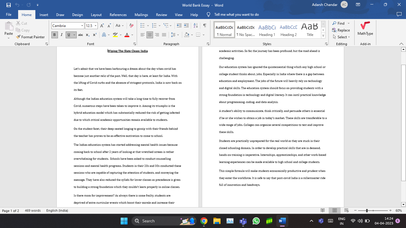 Essay - student project