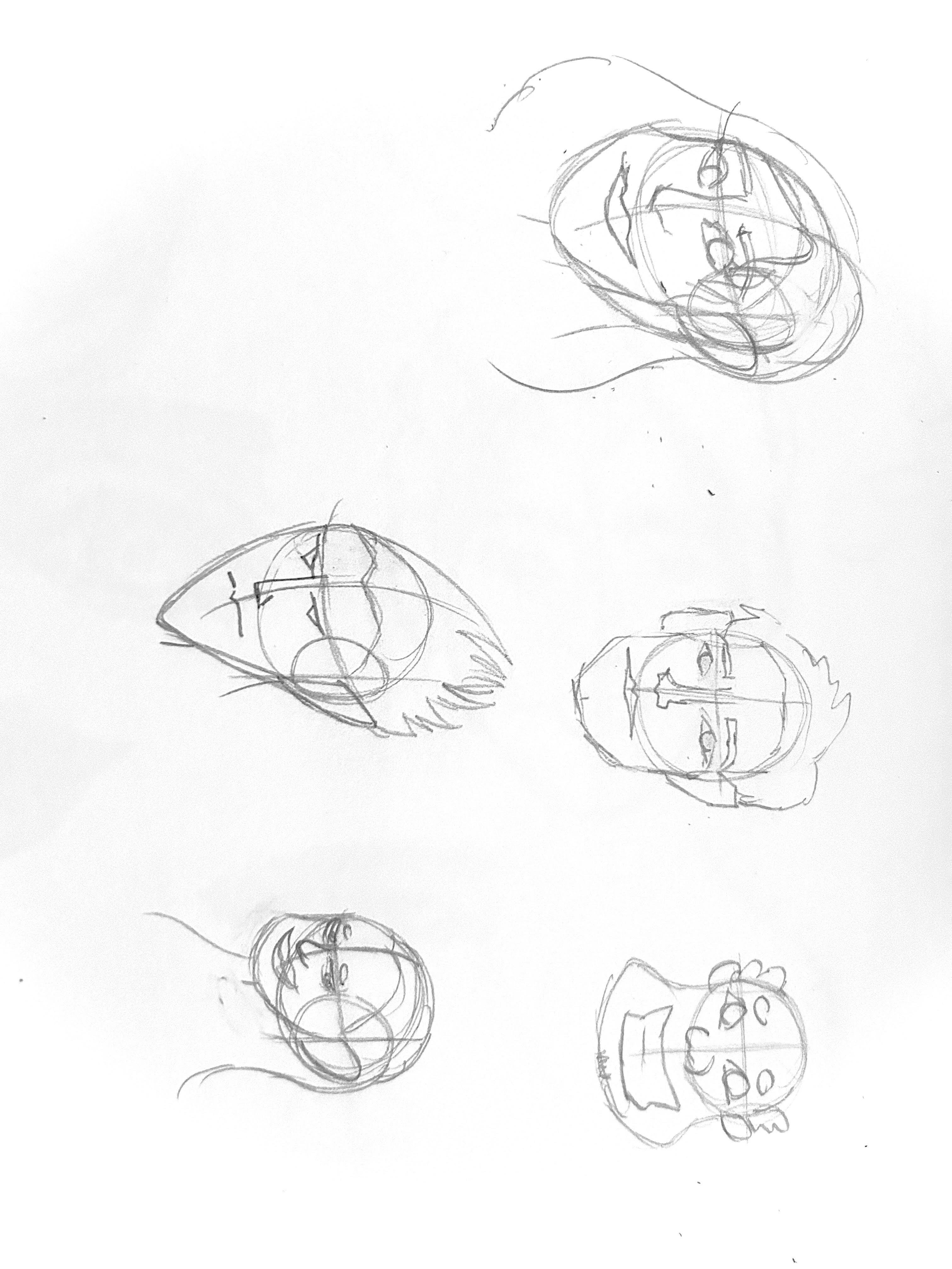 more-projects-from-class-img