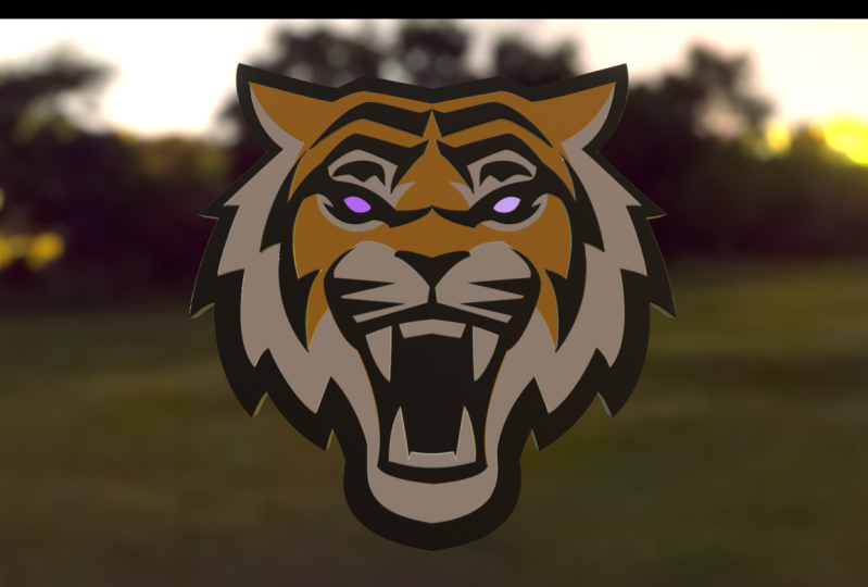 Animated Logo