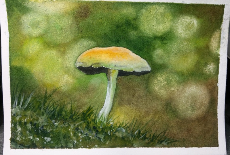 bokeh mushroom