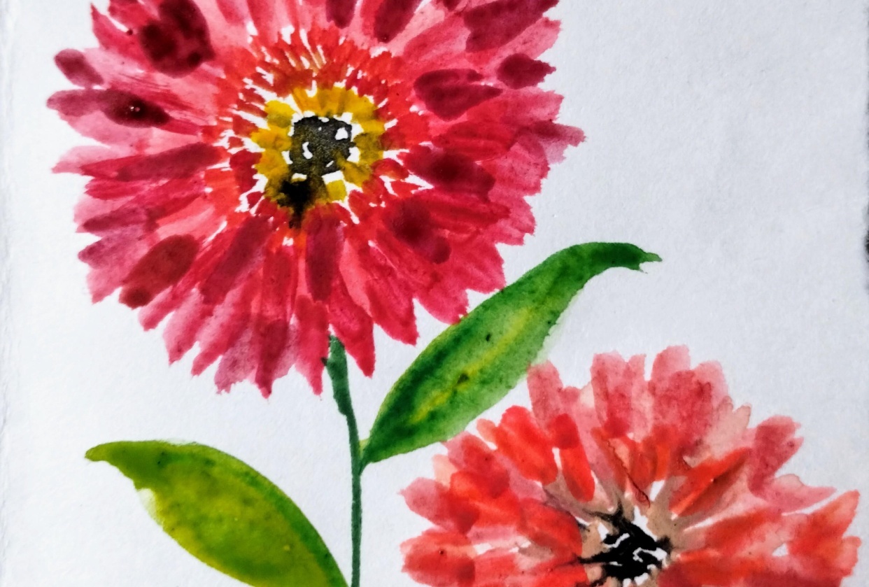 Gerbera with Pooja - student project
