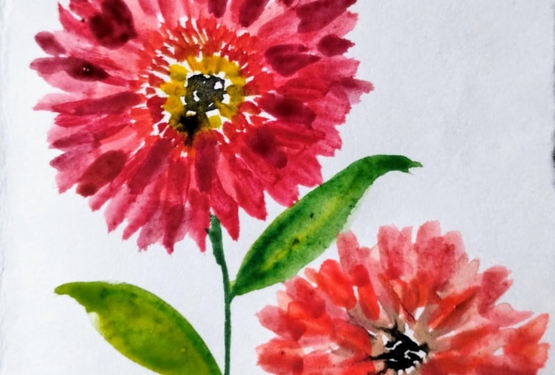 Gerbera with Pooja