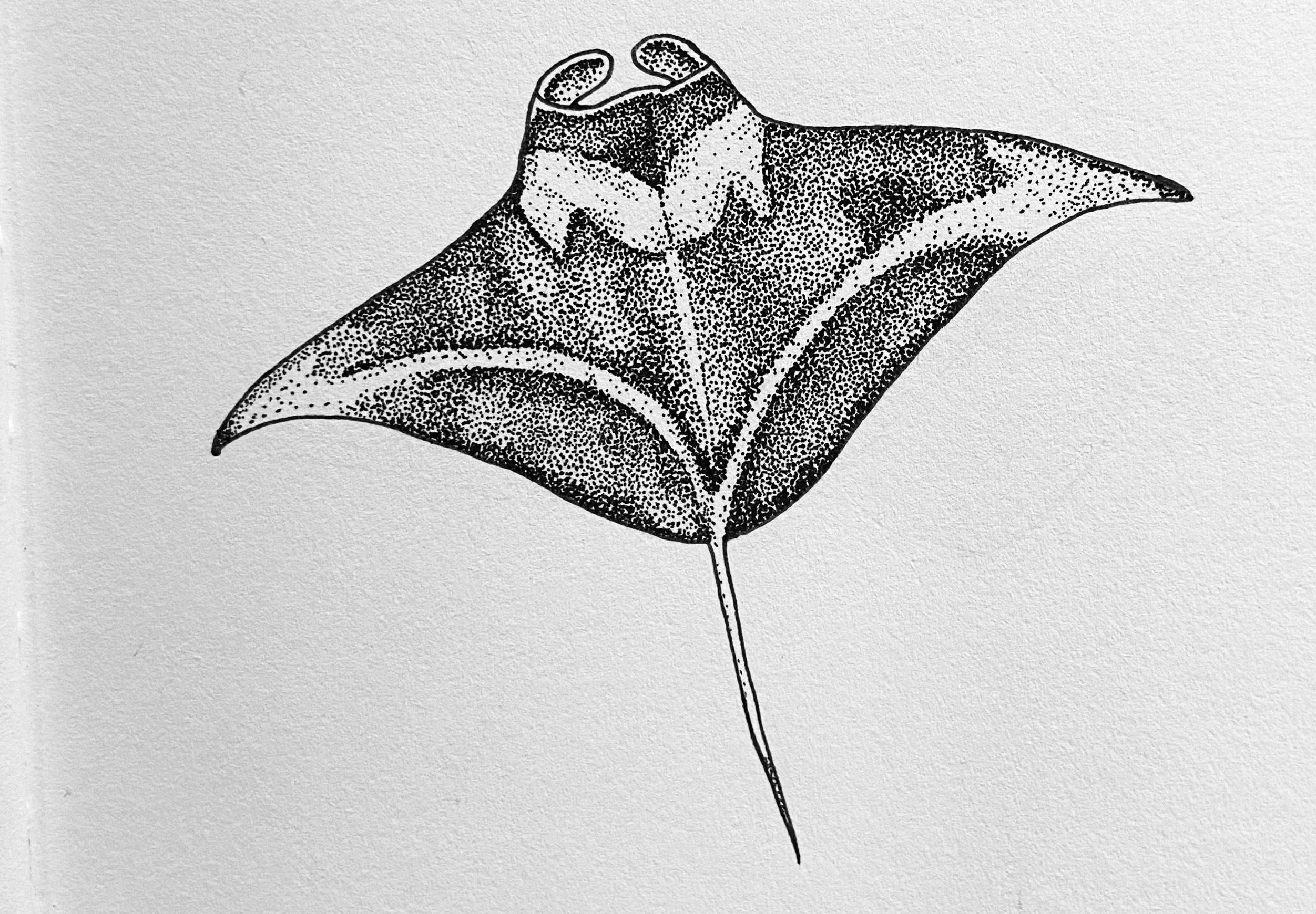 more-projects-from-class-img