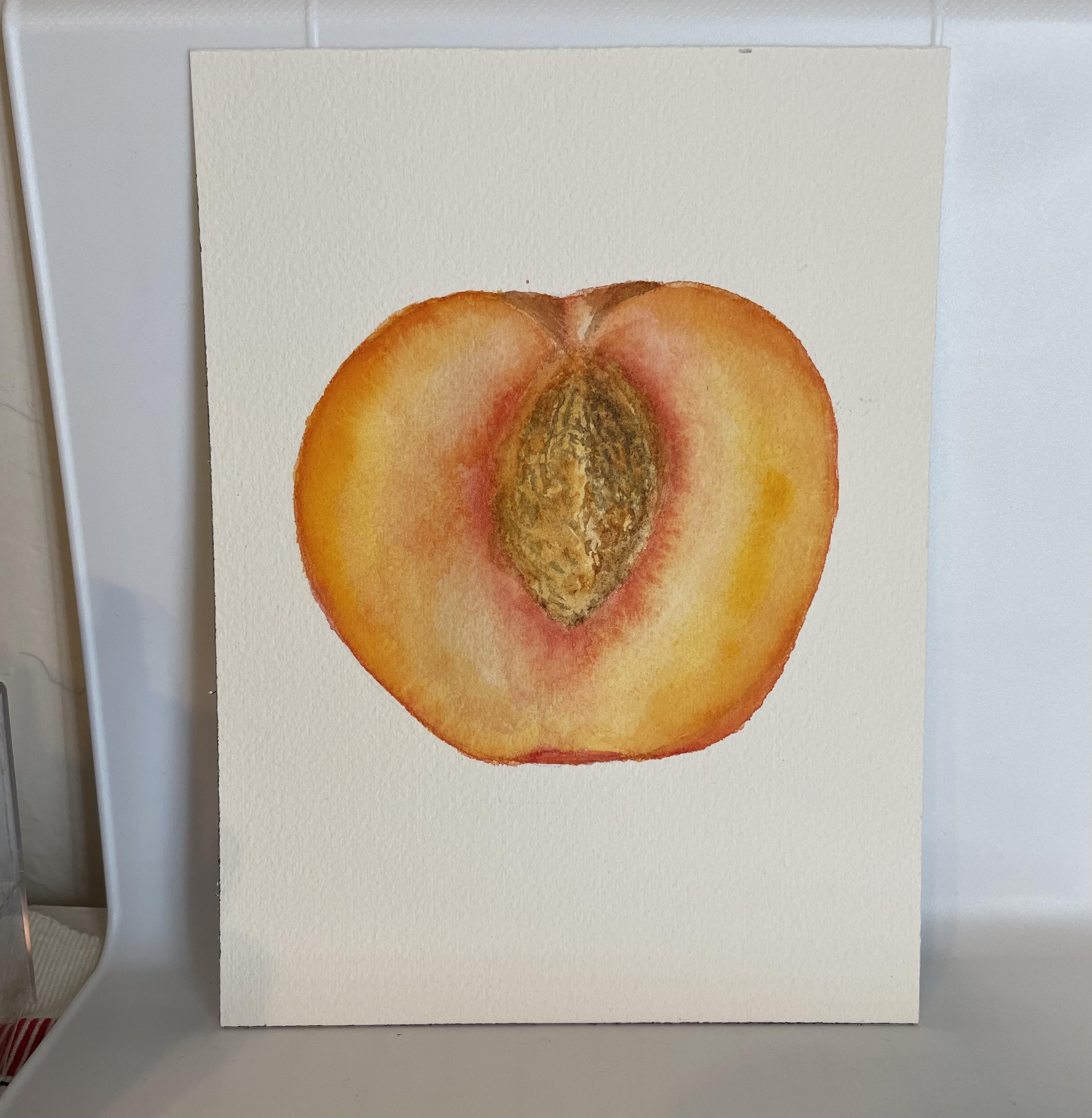 Peach Cross-Section - student project
