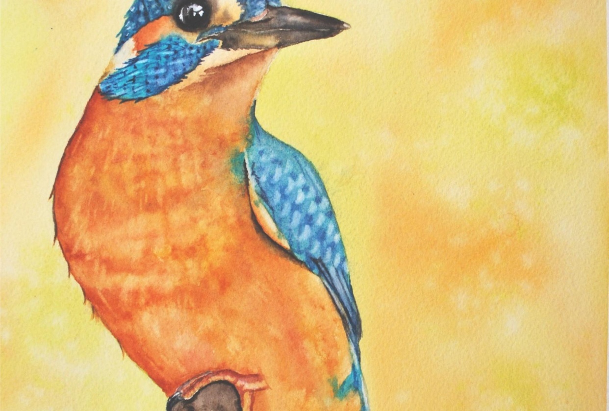 Kingfisher - student project