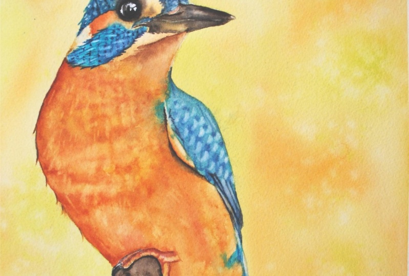 Kingfisher