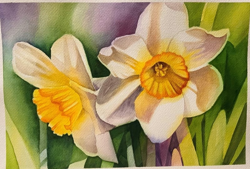 Daffodil flower