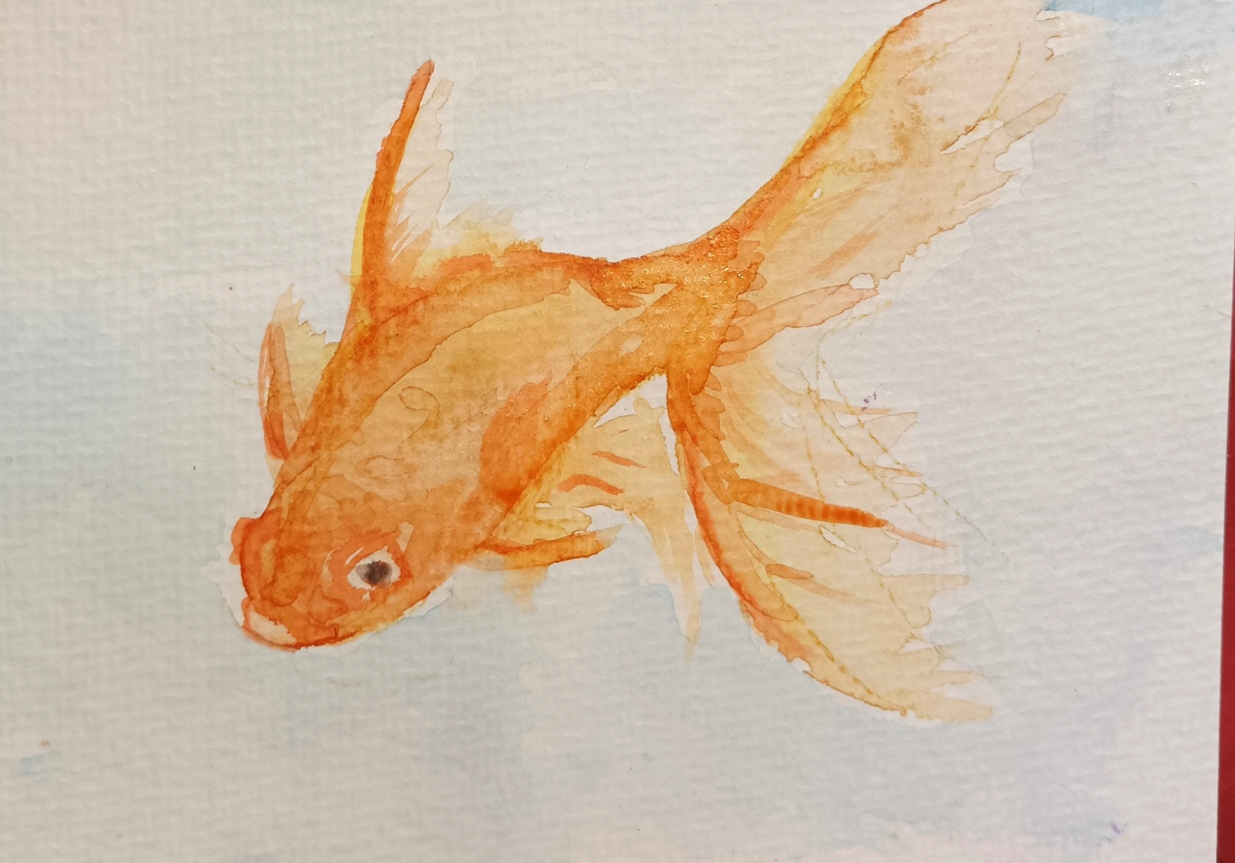 Fisch - student project