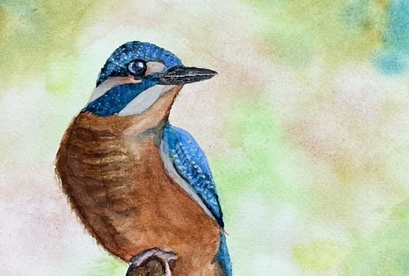 Bird project