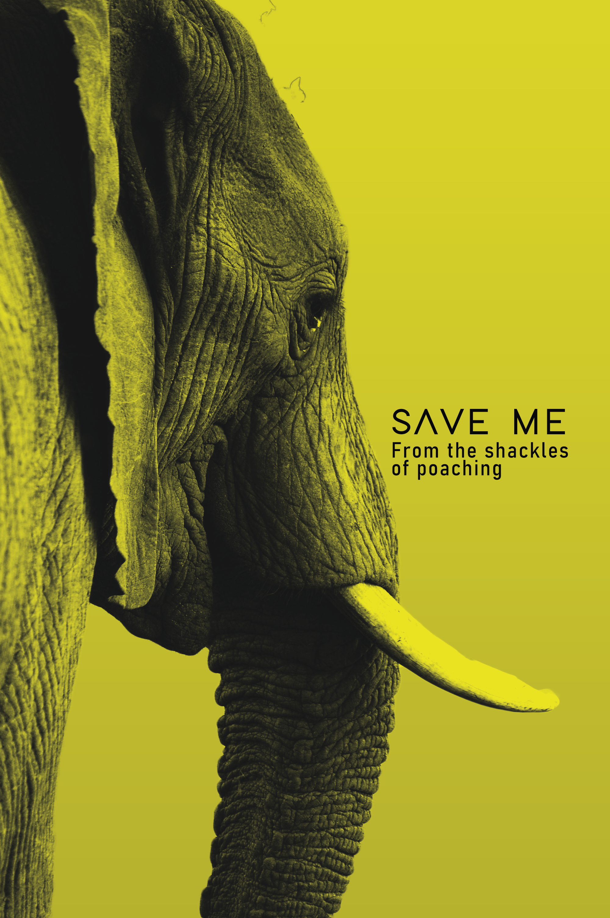 Elephant Duotone