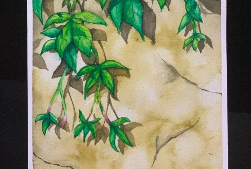 Realistic shadows with watercolour