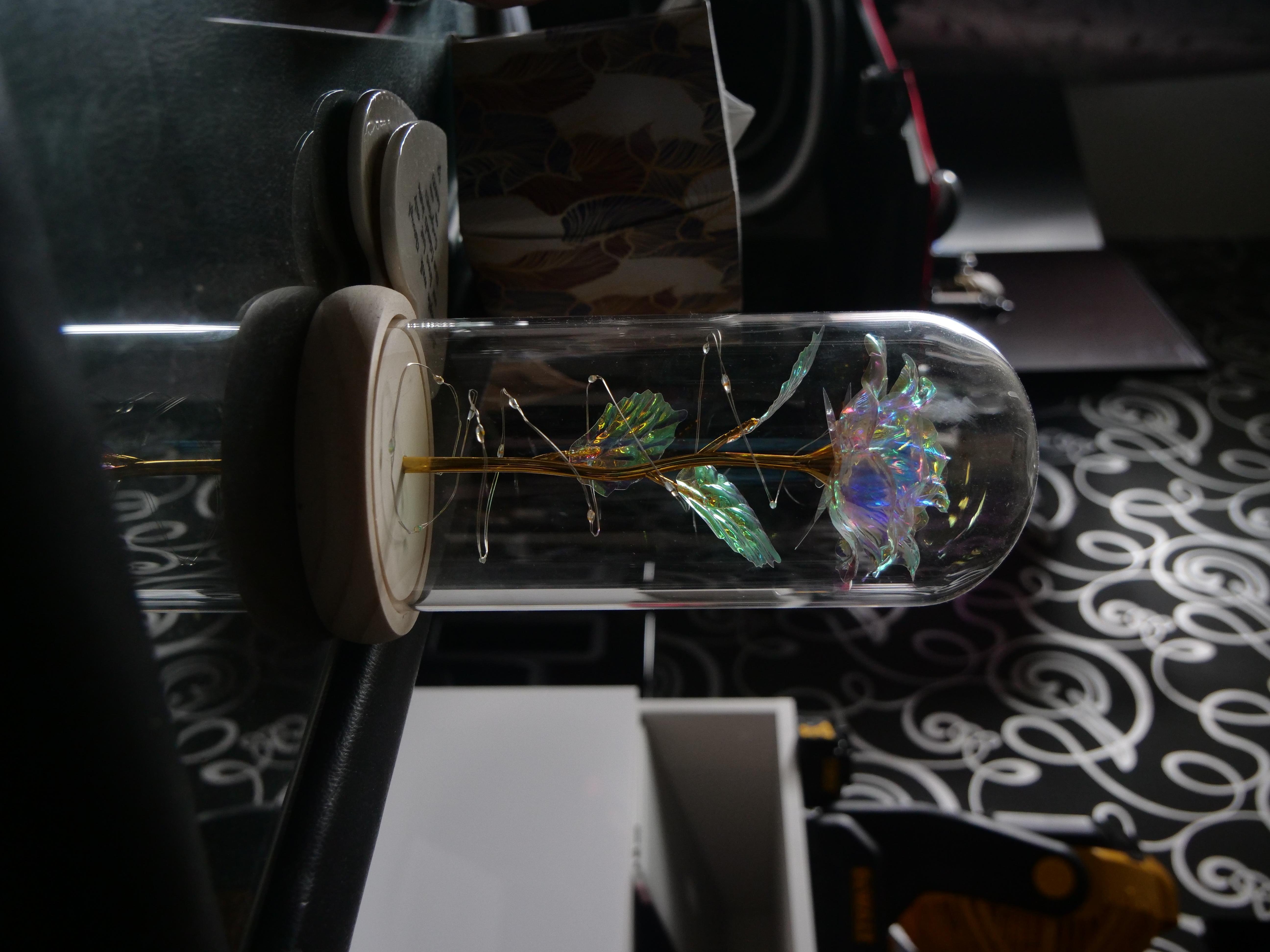 Colour in darkness - student project