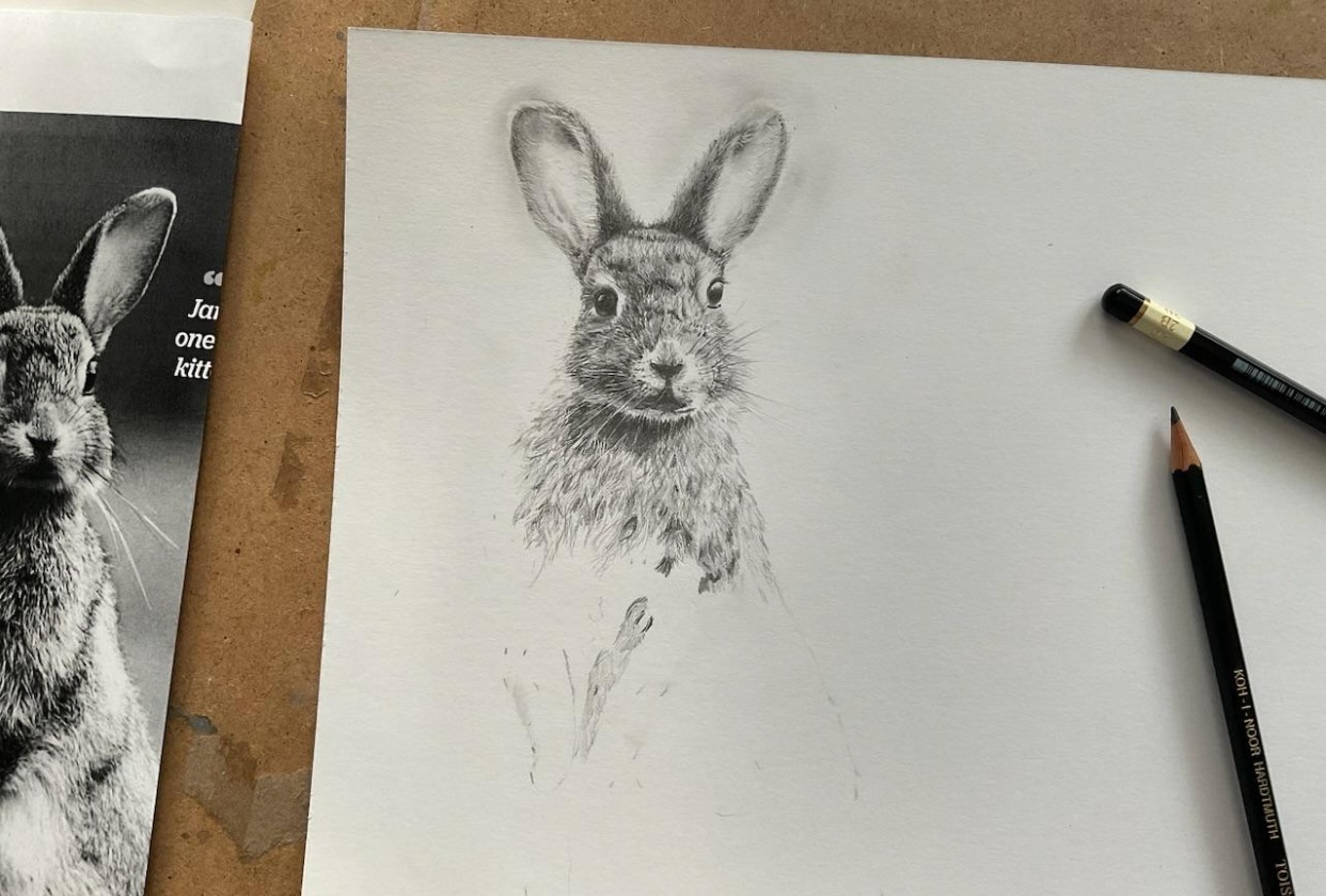 Feedback please - student project