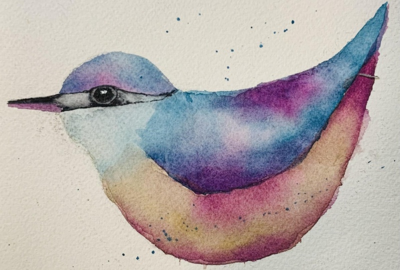 Bird
