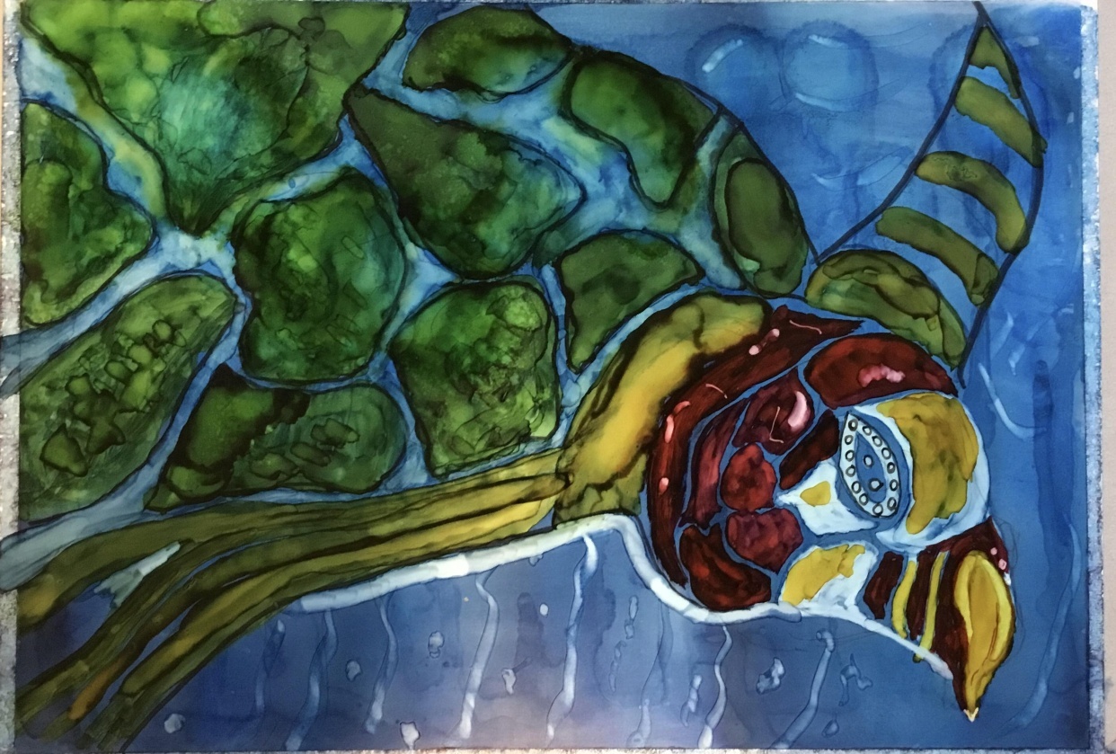 Turtle - student project