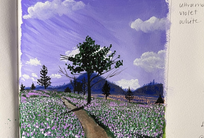 Meadows