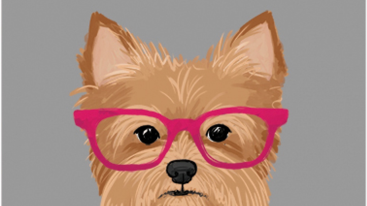 All About That Fluff - student project