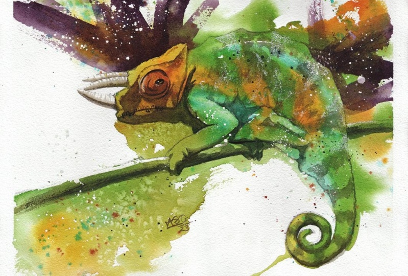 Rainbow Chameleon