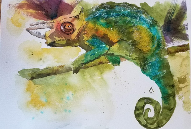 Chameleon