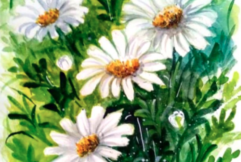 Watercolor  flowers
