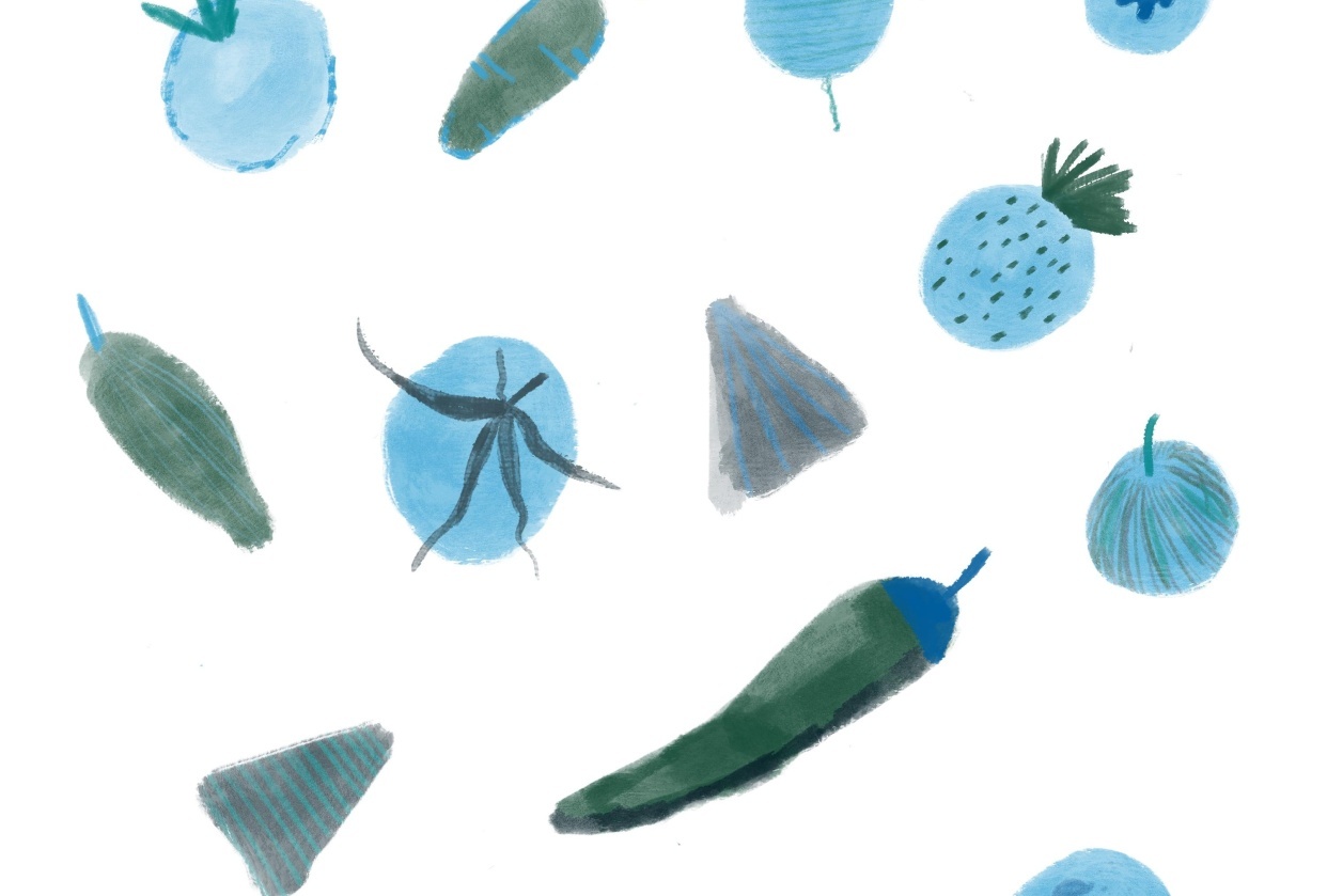 Created using iPad and 5 Pantone colors - student project