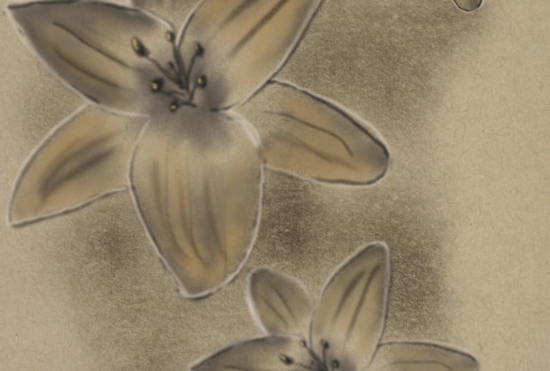 Digital sketchbook in procreate