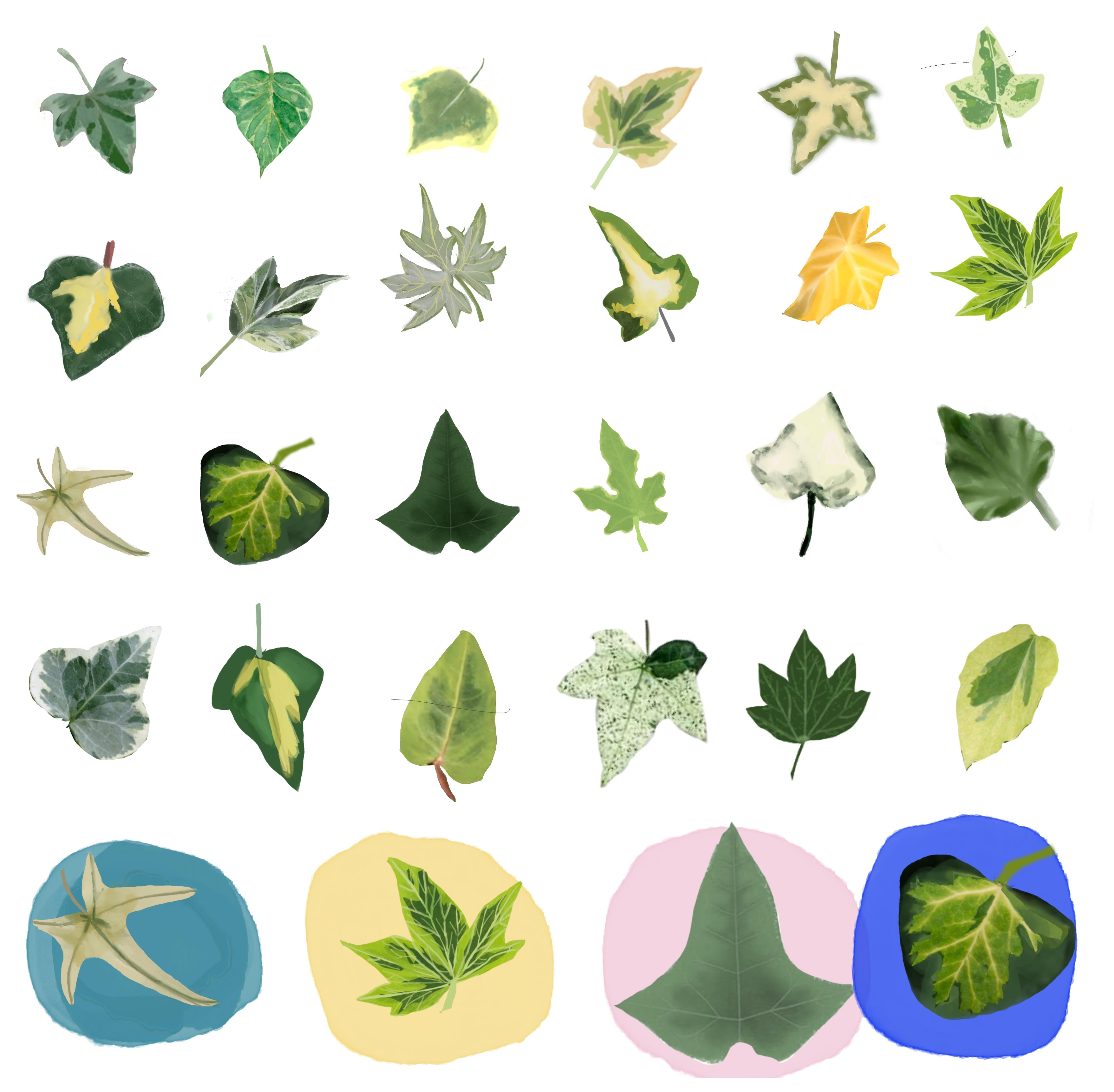 more-projects-from-class-img