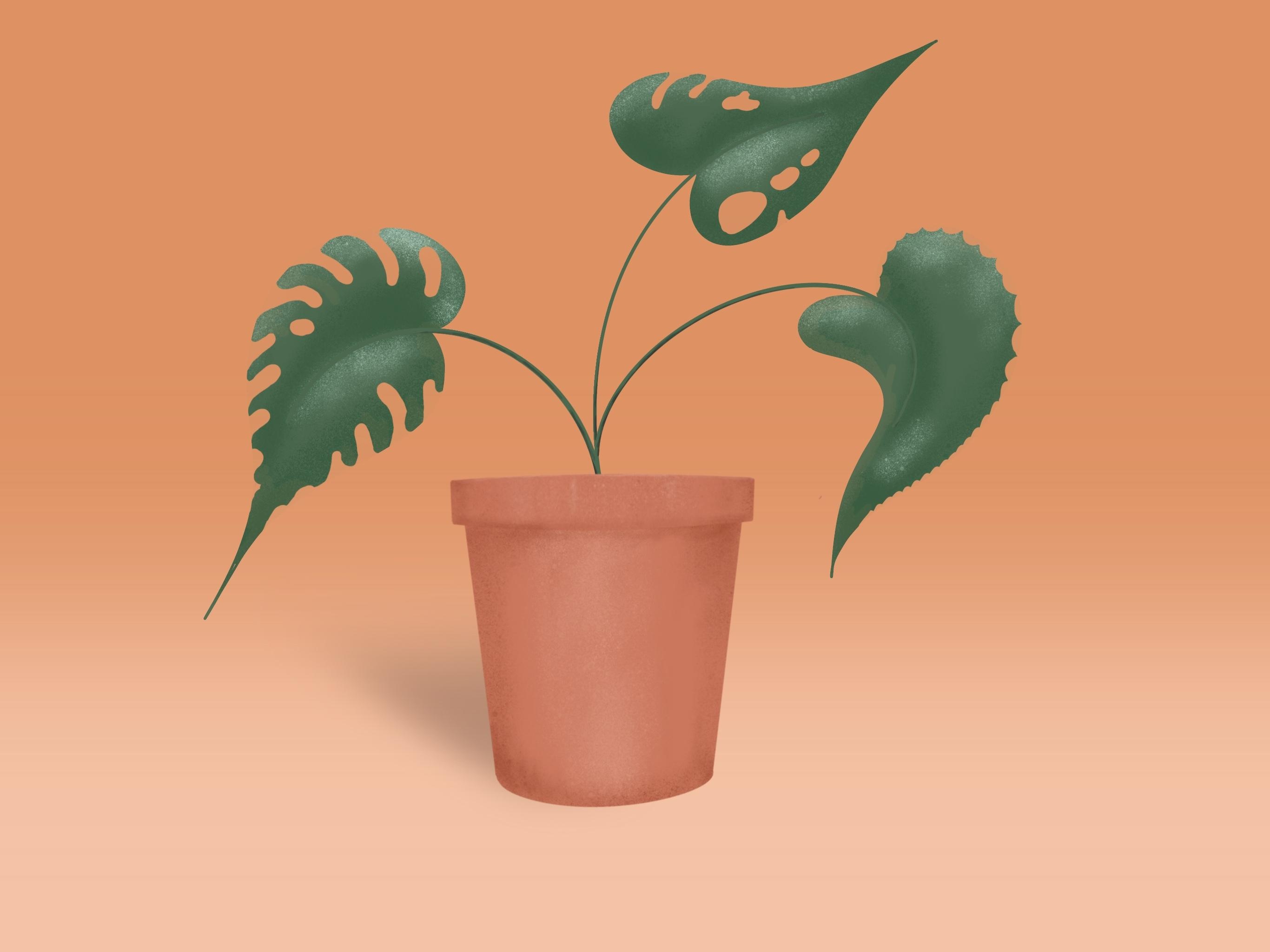 more-projects-from-class-img