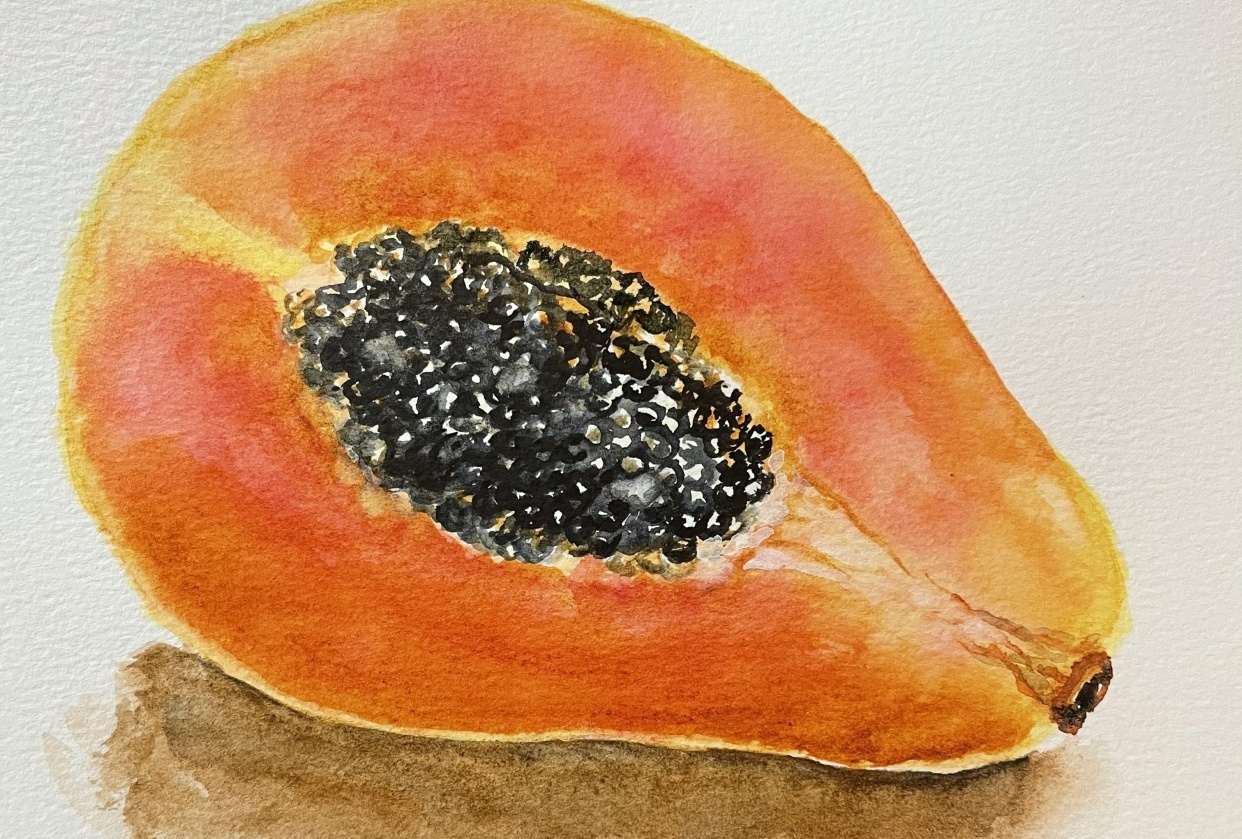 Papaya - student project