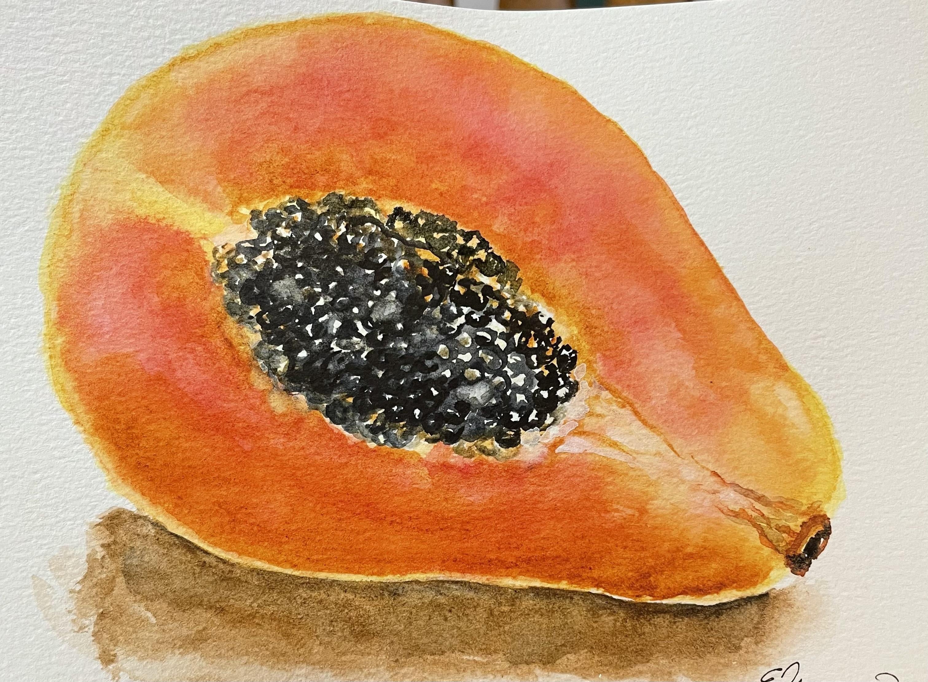 Papaya - student project
