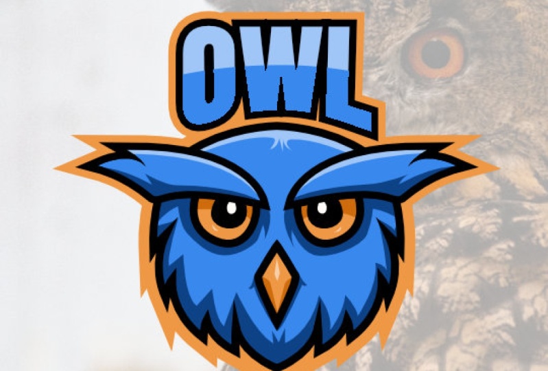 owl logo
