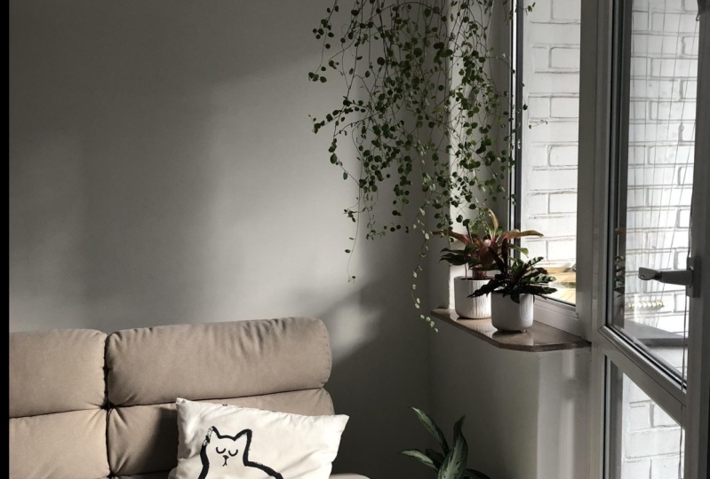 Little corner enhanced