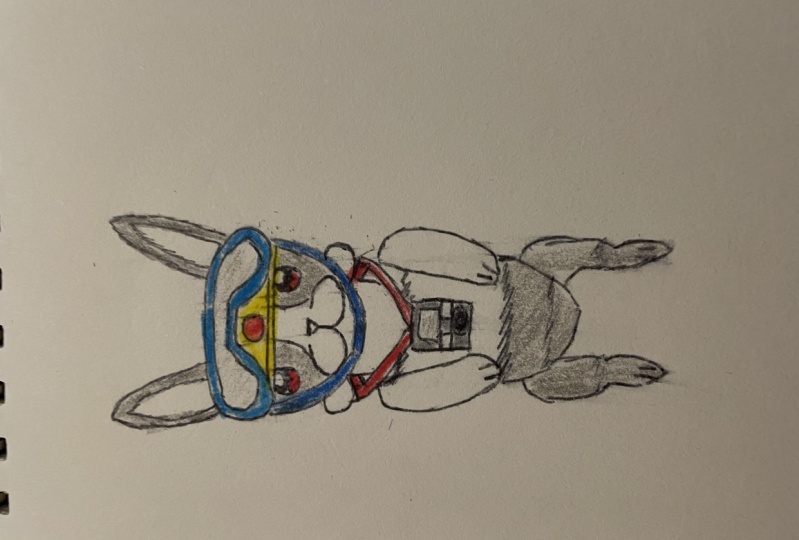 Rescue Rabbit