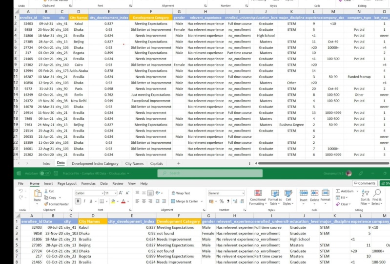 Vlookup and Xlookup project