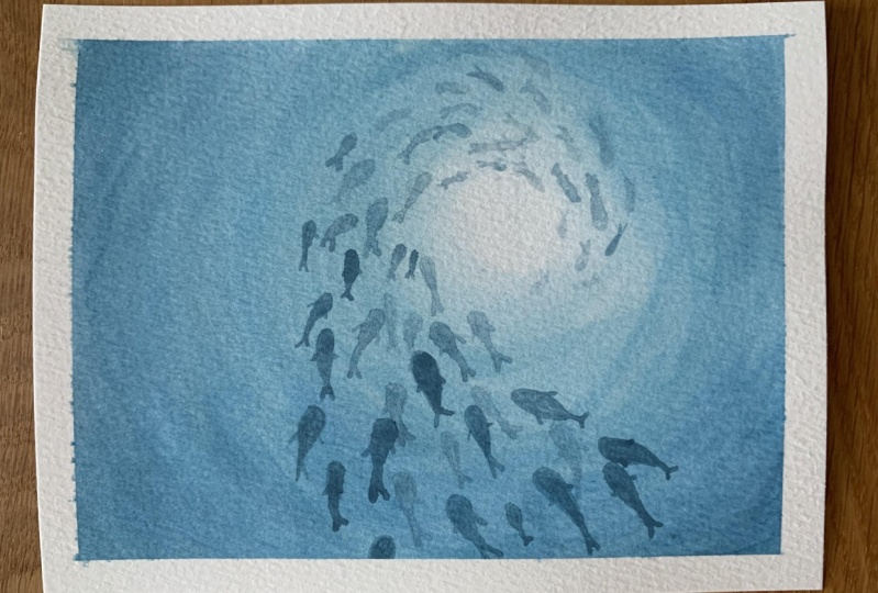 Swimming with the fishes
