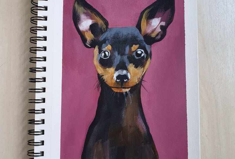 Dog study