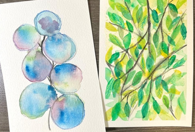 Eucalyptus & Green Leaves Study